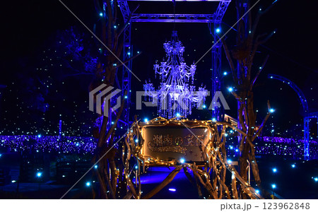 江ノ島　湘南の宝石　イルミネーション　 123962848