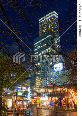 天王寺公園のイルミネーションとあべのハルカスの夜景 123962857
