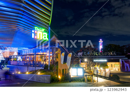 冬の天王寺公園のイルミネーションと通天閣の夜景 123962943