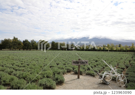 ファーム富田 ファーム富田 123963090