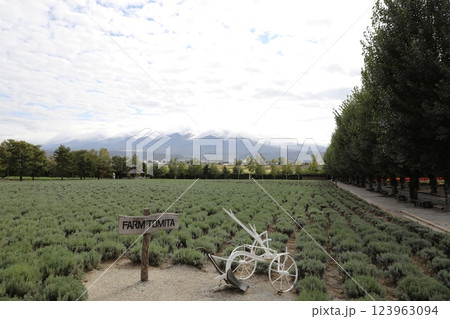 ファーム富田 123963094