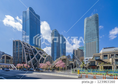 桜が咲き誇る麻布台ヒルズ　東京都 123963160