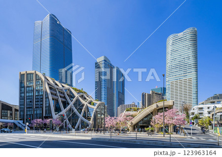 桜が咲き誇る麻布台ヒルズ 東京都 桜が咲き誇る麻布台ヒルズ 東京都 123963164