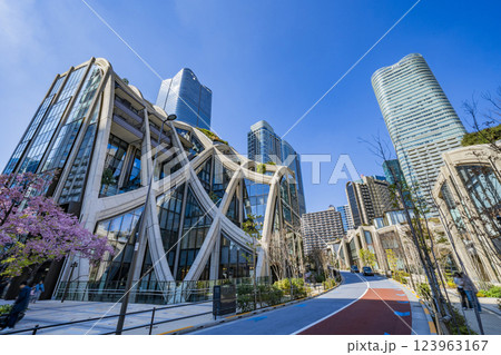 桜が咲き誇る麻布台ヒルズ　東京都 123963167