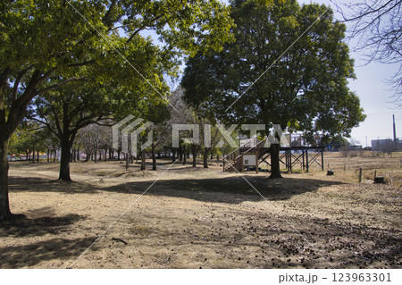 羽生水郷公園、こもれびの林　埼玉県羽生市 123963301