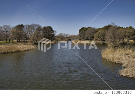 羽生水郷公園 埼玉県羽生市 羽生水郷公園 埼玉県羽生市 123963310