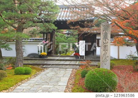 秋の圓光寺（京都市） 123963586