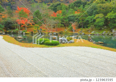 秋の天龍寺庭園(京都市) 秋の天龍寺庭園(京都市) 123963595