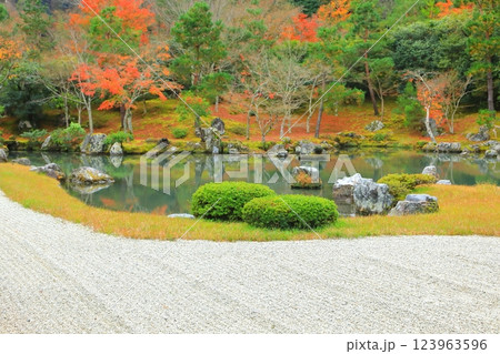 秋の天龍寺庭園(京都市) 秋の天龍寺庭園(京都市) 123963596