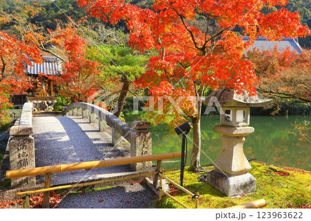 秋の永観堂（京都市） 123963622
