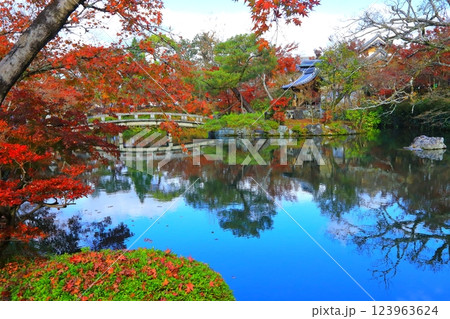 秋の永観堂（京都市） 123963624