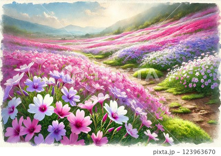 シバザクラの丘 シバザクラの丘 123963670