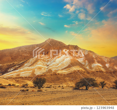 Mountainous desert with colorful cloudy sky. Judean desert in Israel at sunset 123963948