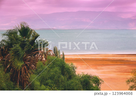 Seascape at pink sunrise. Dead Sea shore with palms. View of Jordan from Israel Seascape at pink sunrise. Dead Sea shore with palms. View of Jordan from Israel 123964008