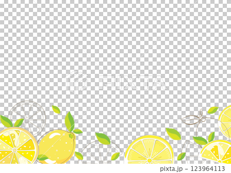 Citrus lemon slices and leaf decoration Fruit illustration frame material 123964113