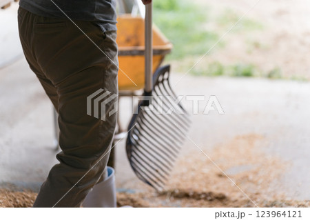 involved with horses involved with horses 123964121