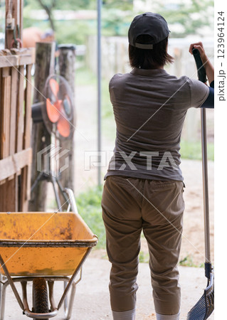 involved with horses 123964124