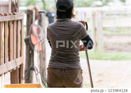 involved with horses 123964126