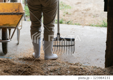 involved with horses 123964131