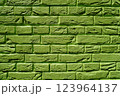かわいい緑の壁 123964137