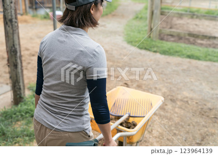 involved with horses 123964139