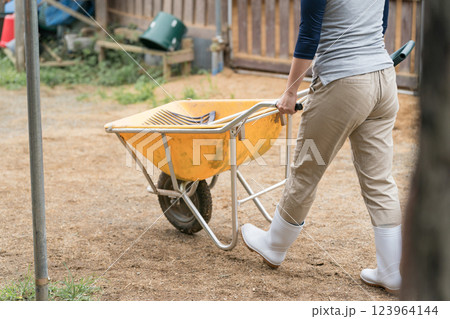 involved with horses involved with horses 123964144