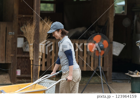 involved with horses 123964159