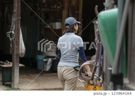 involved with horses 123964164