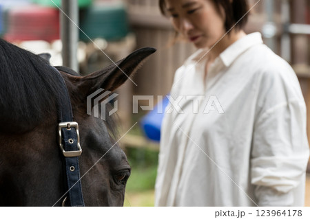 involved with horses involved with horses 123964178