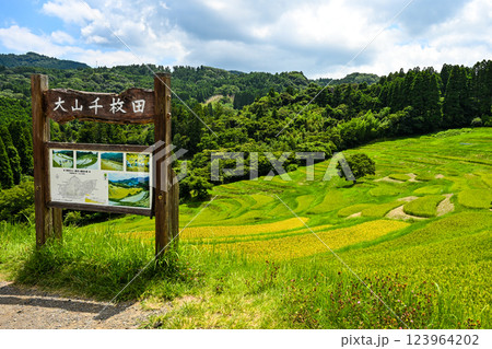 大山千枚田（おおやませんまいだ）千葉県鴨川市 123964202