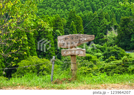 大山千枚田(おおやませんまいだ)千葉県鴨川市 大山千枚田(おおやませんまいだ)千葉県鴨川市 123964207