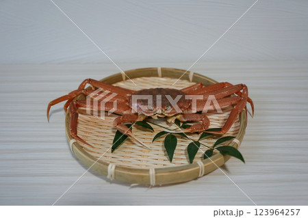 鮮度抜群なセコガニ	 123964257