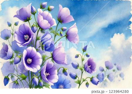 キキョウ 123964280