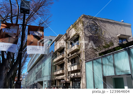 東京 表参道の風景 東京 表参道の風景 123964604