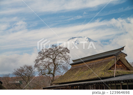 （山梨県）秋の忍野八海　雪化粧した富士山 123964698