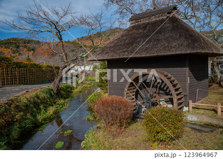 （山梨県）秋の忍野八海 123964967