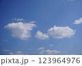 青い空を泳ぐ親子雲 123964976