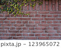 蔦のあるレトロなれんが壁 123965072