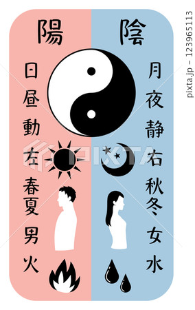 陰と陽を比較した文字と太極図のイラスト（タテ） 123965113