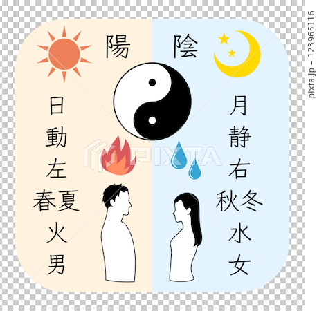 陰と陽を比較した文字と向かい合う男女のカラーイラスト 123965116