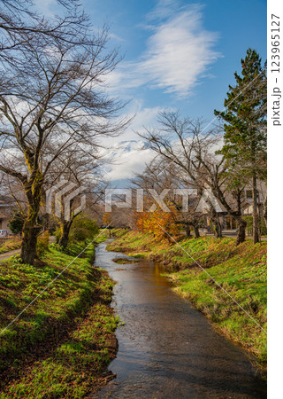 (山梨県)忍野八海 新名庄川の紅葉と冠雪した富士山 (山梨県)忍野八海 新名庄川の紅葉と冠雪した富士山 123965127