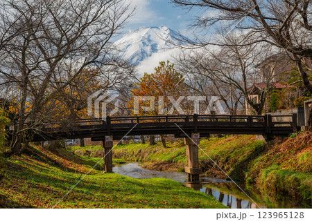 （山梨県）忍野八海　新名庄川の紅葉と冠雪した富士山 123965128