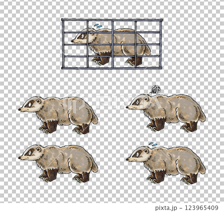 アナグマセット 123965409
