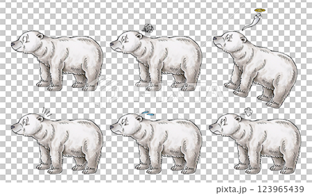 Polar bear set Polar bear set 123965439