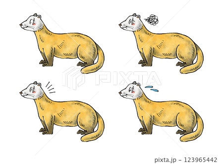 テンセット 123965442