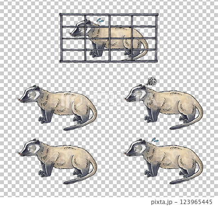 Palm Civet Set Palm Civet Set 123965445