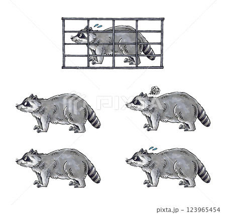 アライグマセット 123965454