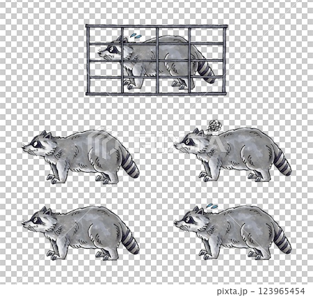 アライグマセット 123965454