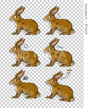 茶色いウサギセット 123965458
