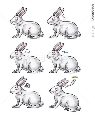 白いウサギセット 123965459